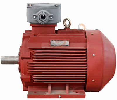 泰富西瑪防爆電機使用維護注意事項 泰富西瑪防爆電機使用維護注意事項